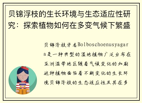 贝锦浮枝的生长环境与生态适应性研究：探索植物如何在多变气候下繁盛生长